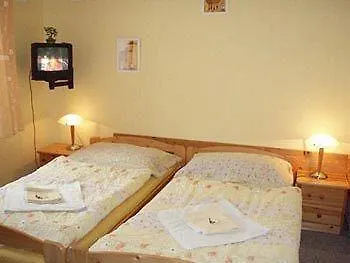 Penzion Villa Marion Marianske Lazne 3*,