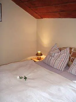 Penzion Villa Marion Marianske Lazne Guest house